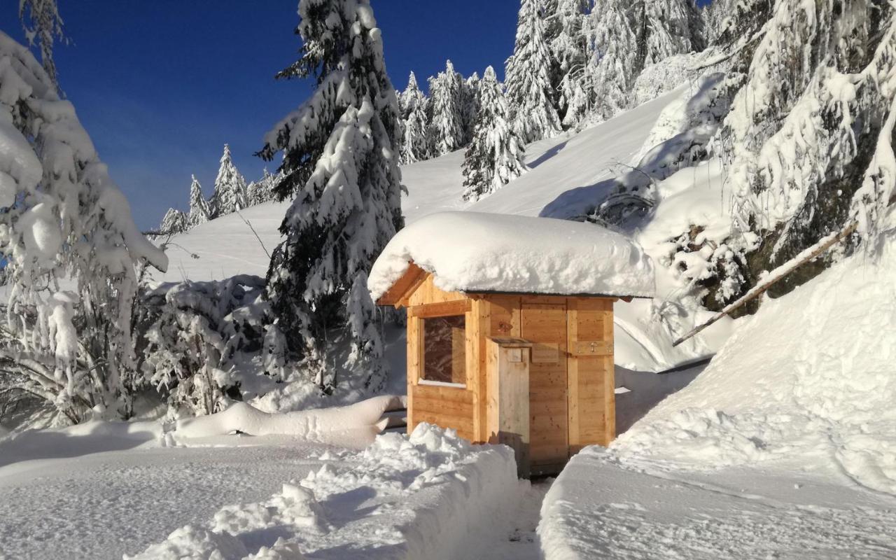 Chalet Panorama Himmelreichhof San Candido Dış mekan fotoğraf